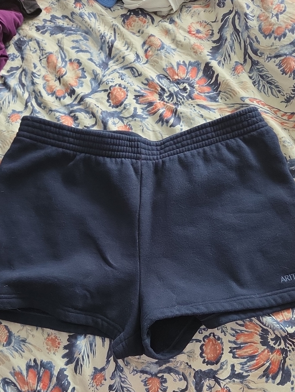 Aritzia Perfect Fit Sweat Fleece Shorts L